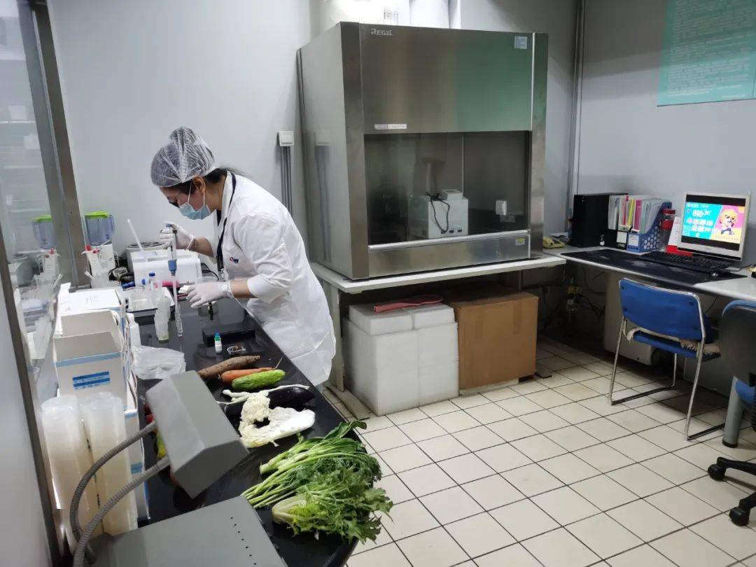 华宁食品检测实验室装修方案